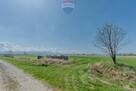 Działka Jabłonka 5942 m2 pod inwestycję - 9