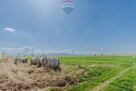 Działka Jabłonka 5942 m2 pod inwestycję - 10