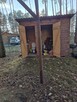 Sprzedam - 13