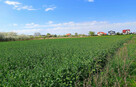 Działki Pniówek, 2,5 km od Zamościa - 9