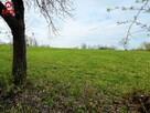 Działka inwestycyjna Nowe Aleksandrowo gm. Dobrzyniewo Duże Ogrodniki - 7