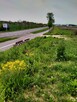 Kołbaskowo1.5994ha,do szybkiej budowy halii 2000m2 - 16