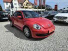 Volkswagen Beetle czarna skóra|VAVI|ALU| silnik wolnossący 2,5 150KM | piękna czerwień - 3