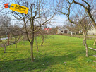 Dom Żabno, - 9