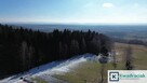 Działka inwestycyjna Odrzykoń gm. Wojaszówka, Leśna - 10