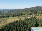 Działka inwestycyjna Odrzykoń gm. Wojaszówka, Leśna - 12