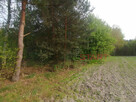 Działka rolna Korabiewice gm. Puszcza Mariańska, - 5