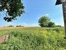 Działka Osmolice Pierwsze  gm. Strzyżewice - 12