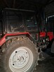 Rolnictwo sprzedam Belarusa - 2