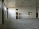 Lokal użytkowy Kurów, Kurów - 3