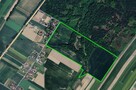 Działka Pilchowice-Wilcza idealna dla dewelopera - 2