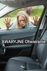 24h Tania pomoc drogowa Nowe Miasteczko, Laweta,Transport - 5