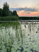 Odstąpię działkę nad Jeziorem Zegrzyńskim - 2