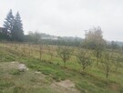 Sprzedam działki budowlane z budynkami. - 5