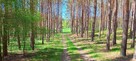 Działka 6005 m², Blisko jeziora i lasu, Inwestycja - 7