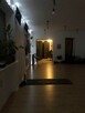 Lokal użytkowo-mieszkalny na Wynajem – 65 m² - 2
