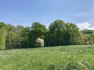 Działka rolna Przebieczany gm. Biskupice - 3
