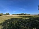 Działka gospodarstwo Wiącka gm. Bodzentyn - 2
