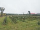 Sprzedam działki budowlane i budynki - 3