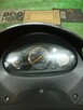 Suzuki Epicuro 125 - 5
