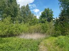 Duza działka z małym domkiem dla miłosników lasów - 15