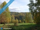 Brenna 2,53 ha działka inwestycyjna blisko wyciągu - 10