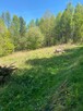 Działka rolno-budowlana Dąbrówka gm. Stryszów - 3