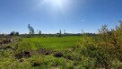 ✅Sprawdź &gt;&gt;&gt; Działka inwestycyjna - Najem-3,1Ha ✅ - 2