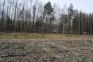 Działki 10a pod zabudowę pod lasem- Widełka - 3