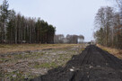 Działki 10a pod zabudowę pod lasem- Widełka - 9