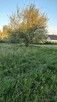 Duża działka budowlana nad jeziorem Zachodniopomorskie - 4