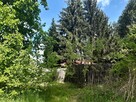 Duza działka z małym domkiem dla miłosników lasów - 16