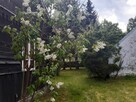 Duza działka z małym domkiem dla miłosników lasów - 14