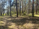 Działka leśna Kaszczorek / Przy Skarpie - 3