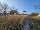 Siedlisko. Jezioro, rzeka. 45 min. od W-wy. Urokliwe miejsce - 11