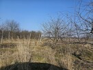 Siedlisko. Jezioro, rzeka. 45 min. od W-wy. Urokliwe miejsce - 7