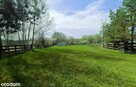 Działka 2000 m2, Krasnobród, Roztocze - 7