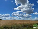 Działka przemysłowa Jordanowo gm. Złotniki Kujawskie - 7