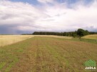 Działka budowlana Kcynia Józefkowo - 9