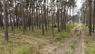Na sprzedaż działka 1621 m² Dziwnów - 9