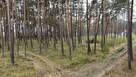 Na sprzedaż działka 1621 m² Dziwnów - 10