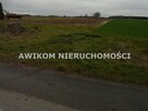Działka budowlana Bolimów Ziąbki - 9