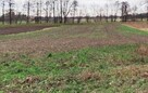 Duża Działka 0,5 ha Pow. Konin, Gm . Rzgów - 2