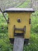 Sprzedam ule wielkopolskie - 5