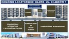 Oława2pokoje-Ip-39,16m2-balkon-klimatyzacja-winda - 10