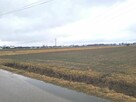 gm. Halinów-pod zabudowę mieszkaniową. 2 działki - do wyboru - 2