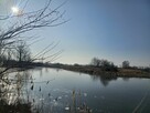 Siedlisko. Jezioro, rzeka. 45 min. od W-wy. Urokliwe miejsce - 12