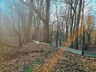 Piękna działka budowlana w EMOWIE. Nad rzeką. Sosnowy las - 14