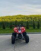 Quad Beretta MAD MAX 150 - 3