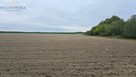 Działka rolno-budowlana Podła Góra gm. Skąpe - 2